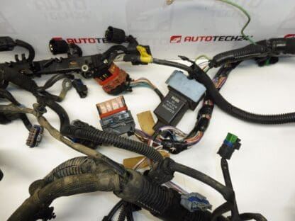 Harness Citroën Peugeot 1.6HDI 9687138480 9687238280 9687150780 6569XY