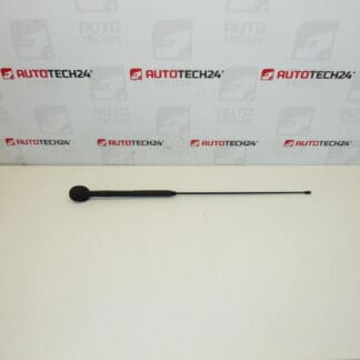 Antenna complete Citroën C3 Pluriel 6561R7 656197