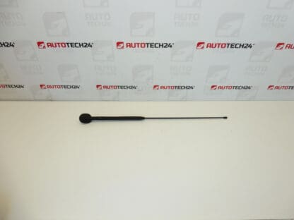 Antenna complete Citroën C3 Pluriel 6561R7 656197