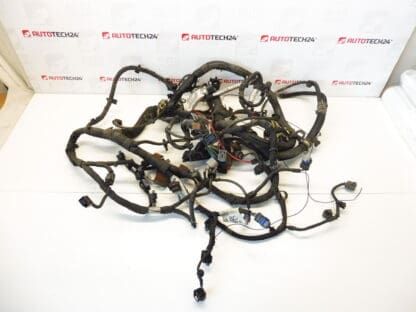 Harness Citroën Peugeot 3.0 HDI 9671824380 6585A7