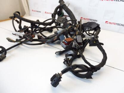 Engine harness Citroen C5 2.0 HDI 9663287280 9663859080 6569EZ