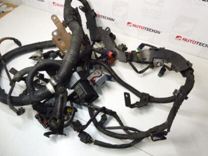 Engine harness Citroen C8 2.0 HDI 1401216980 1401216880 6569XL