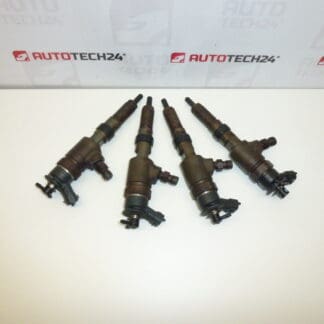 Injection kit Bosch 1.4 HDI 0445110252 1980K2