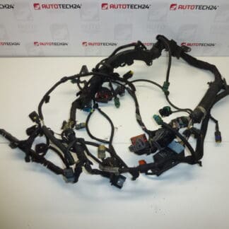 Harness Citroën Peugeot 2.0HDI RHR 9662566480 9662566580 6569Y2