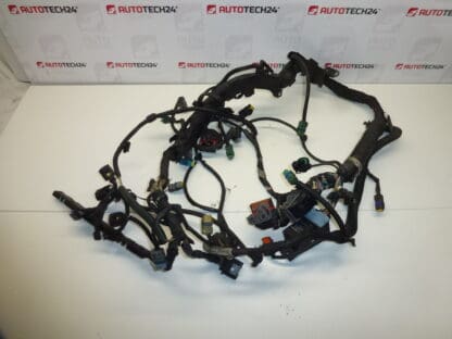 Harness Citroën Peugeot 2.0HDI RHR 9662566480 9662566580 6569Y2