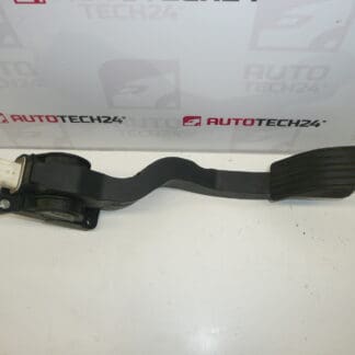 Accelerator pedal Peugeot 206 0280755026 9654877480 1601Q2