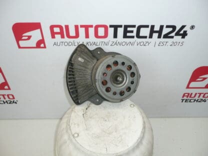 Fan motor Citroën Peugeot 1253H3 1253C6