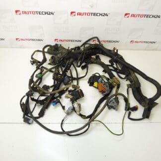 Citroën Peugeot 2.2 HDI 9658502380 harness