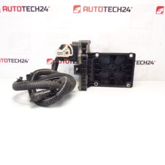 Citroën Peugeot Robotic Gearbox ECU 9674693580 2531A4