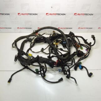 Harness Citroën Peugeot 2.0HDI RHR 9655093480 9656995280 6558XP