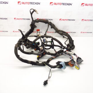 Harness Citroën Peugeot 1.6HDI 9663385080 6569FK 6569JZ