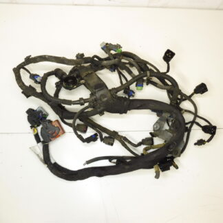 Engine harness Peugeot Citroen 1.4 and 1.6 VTI V756813880 6569HX