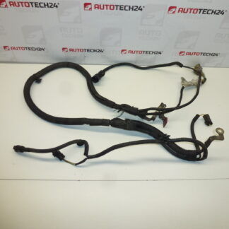 Harness Citroën Peugeot 2.0HDI RHR 9657990680 5642FW 5642JC