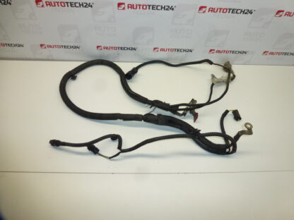 Harness Citroën Peugeot 2.0HDI RHR 9657990680 5642FW 5642JC