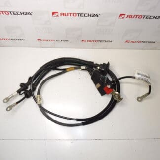 Connection cable + pole in engine Citroën Peugeot 1400721280 1400812780